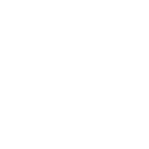 raspberry-pi