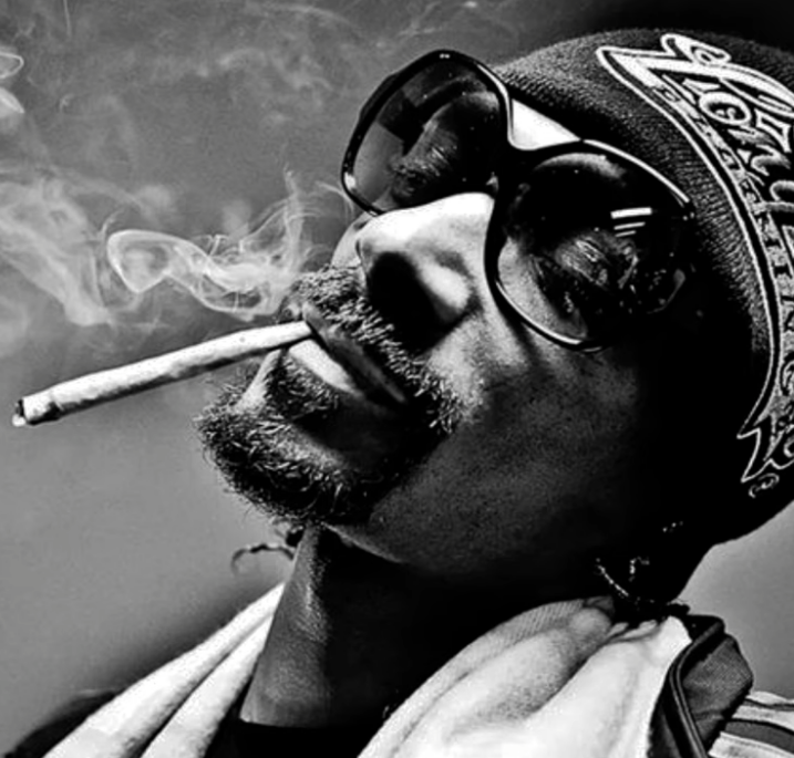 Scott Rill, andrei, Besomorph (Feat. Snoop Dogg) - WANT 2