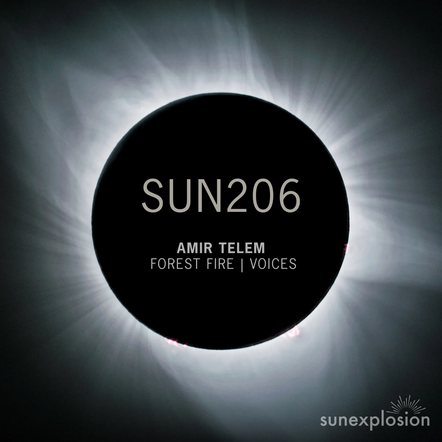 Amir Telem - Forest Fire